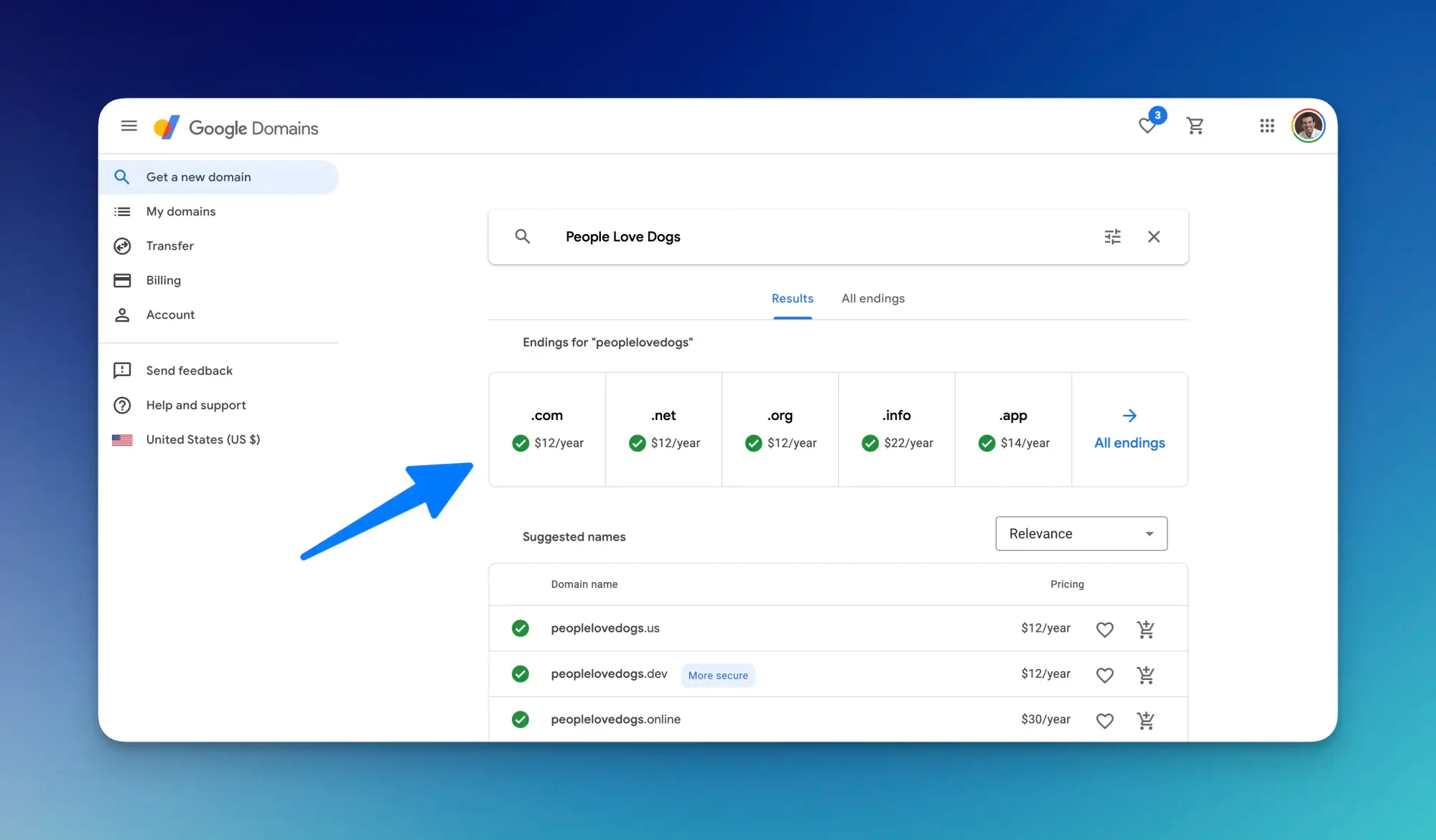 Google Domains purchasing options